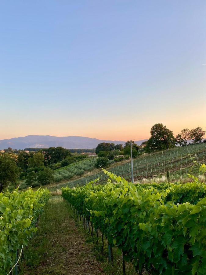 Donna Vittori - Borgo Agricolo Aparthotel Paliano Eksteriør bilde