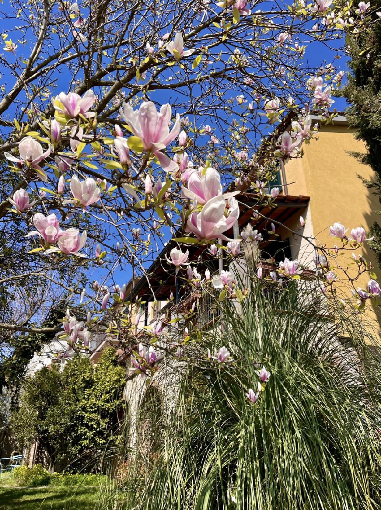 Donna Vittori - Borgo Agricolo Aparthotel Paliano Eksteriør bilde